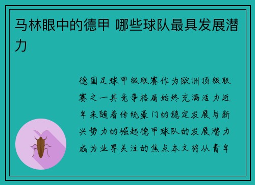 马林眼中的德甲 哪些球队最具发展潜力
