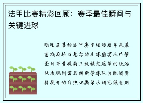 法甲比赛精彩回顾：赛季最佳瞬间与关键进球